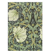 Boxed cards - William Morris botanicals